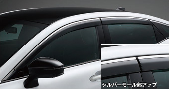 Side visor